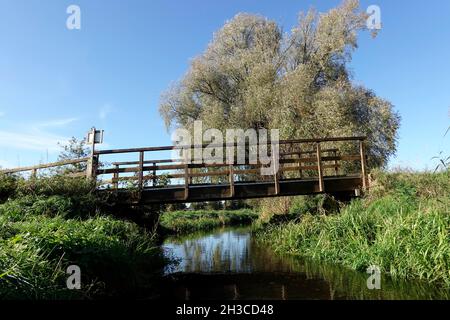 Fussgängerbrücke aus Holz über die Wipperau, Oetzen, Niedersachsen, Deutschland Stockfoto