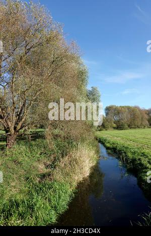 Fussgängerbrücke aus Holz über die Wipperau, Oetzen, Niedersachsen, Deutschland Stockfoto