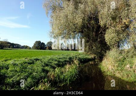 Fussgängerbrücke aus Holz über die Wipperau, Oetzen, Niedersachsen, Deutschland Stockfoto