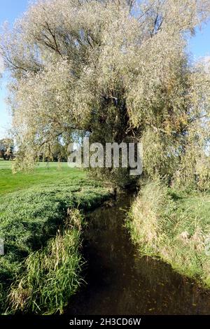 Fussgängerbrücke aus Holz über die Wipperau, Oetzen, Niedersachsen, Deutschland Stockfoto