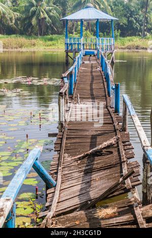 Gebrochene Promenade im Harbaria Eco Park in Sundarbans, Bangladesch Stockfoto