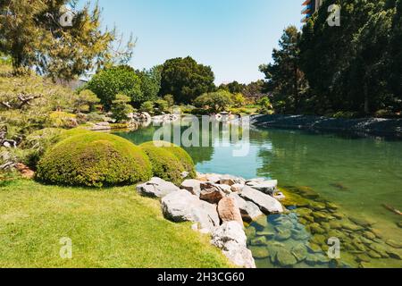 Der Hauptteich im Japanischen Freundschaftsgarten von Phoenix, Arizona Stockfoto