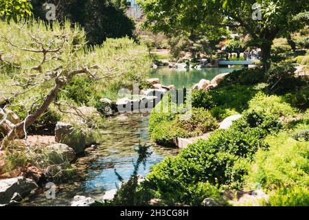 Ein kleiner Nebenfluss speist den Hauptteich im Japanischen Freundschaftsgarten von Phoenix, Arizona Stockfoto