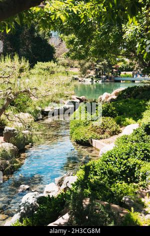 Ein kleiner Nebenfluss speist den Hauptteich im Japanischen Freundschaftsgarten von Phoenix, Arizona Stockfoto