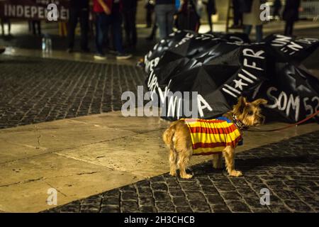 Barcelona, Katalonien, Spanien. Oktober 2021. Bei einer Demonstration wird Hund in Kleidung mit der katalanischen Unabhängigkeitsflagge gesehen.Eine Gruppe katalanischer Unabhängigkeitsbestrebungen aus verschiedenen Städten Kataloniens hat einen fackelmarsch vom Parlament Kataloniens zur Allgemeinheit Kataloniens durchgeführt, Die gegenwärtige Regierung Kataloniens aufzufordern, nicht mit der spanischen Regierung zu einverstanden zu sein und die Unabhängigkeitsagenda der vorherigen Regierungen zurückzugeben. Die Demonstration stand unter dem Motto „'Unabhängigkeit oder Demission'“ (Bild: © Thiago Prudencio/DAX via ZUMA Press Wire) Stockfoto