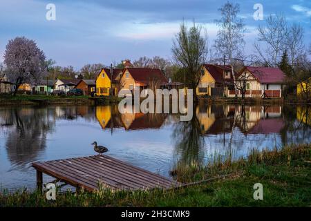 Fischerdorf mit See Reflexion in Dunakeszi, Ungarn Stockfoto