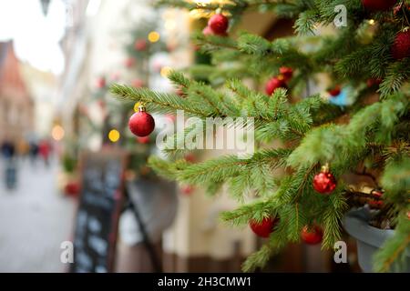 Schönen Tannen als Dekoration von schmalen, alten Straße in Vilnius, Litauen. Weihnachten und Neujahr in der litauischen Hauptstadt. Stockfoto