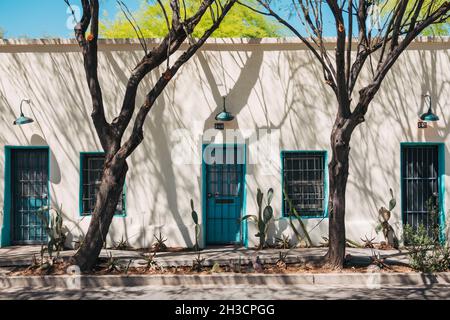 Bäume werfen Schattenstreifen über die weißen und türkisfarbenen Farben eines adobe-Hauses in Barrio Viejo, Tucson, AZ Stockfoto