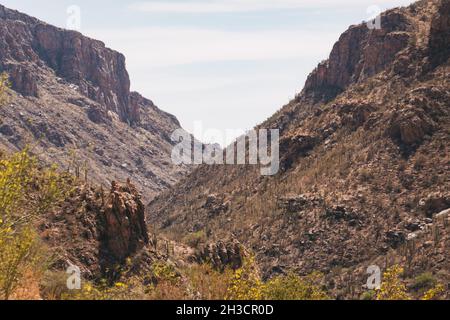 Die karge, kaktusgespickte Landschaft des Sabino Canyon am Stadtrand von Tucson, Arizona Stockfoto