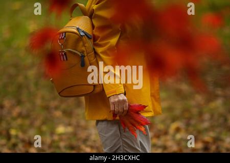 Gloucestershire, Großbritannien. Oktober 2021. Ein Besucher genießt die Herbstfarben in Westonburt, dem National Arboretum in der Nähe von Tetbury, in Gloucestershire, Großbritannien, am 27. Oktober 2021. Quelle: Tim Ireland/Xinhua/Alamy Live News Stockfoto