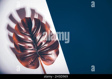 Monstera Blatt und Schatten auf weißem und blauem Hintergrund. Minimaler Surrealismus mit kreativem Copyspace. Stockfoto