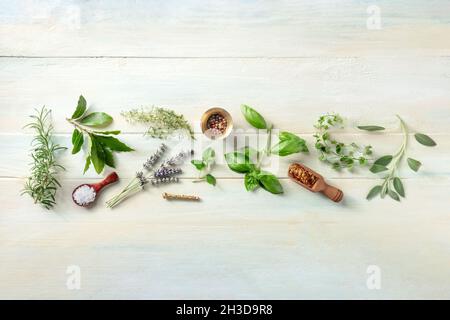 Frische Kräuter, von oben auf einem hölzernen Hintergrund mit Salz und Pfeffer abgeschossen. Rosmarin, Lavendel, Lorbeerblatt, Thymian, Basilikum, Salbei usw. Stockfoto