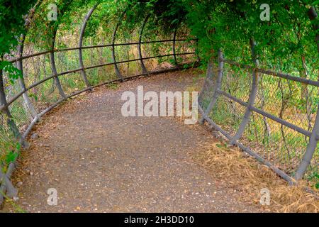 Herrlicher Tunnel und Gehweg aus Schotterstraße, bedeckt mit grünen Pflanzen und getrockneten Pflanzen Stockfoto