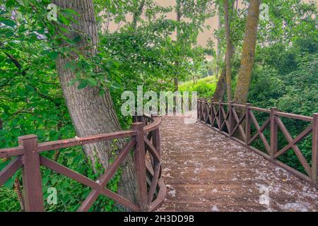 Eine Holzbrücke im Naturparkland mit grünen Pflanzen und riesigen Körperbäumen mit verwelkten und getrockneten Blättern mit Kiesstein und weißen Baumwollstoffen. Stockfoto