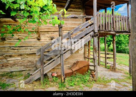 Altes verlassene und braunfelder Dorfhaus mit grünen Trauben und Treppen auf Steinboden in der Natur eingerichtet. Stockfoto