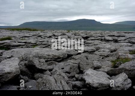 Penyghent Hill (einer der Yorkshire 3 Peaks) vom Kalksteinpflaster in der Nähe von Sulber Gate zwischen Horton in Ribblesdale & Clapham, Yorkshire Dales. Stockfoto