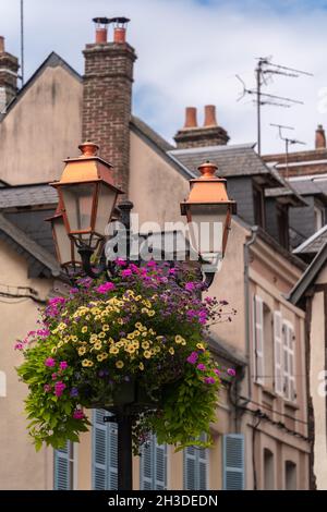 Straßenlaterne mit Blumen und Altstadtgebäuden in Honfleur, Normandie Stockfoto