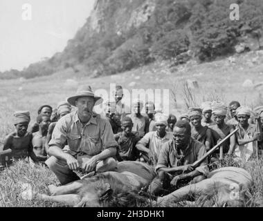 Hunter in den 1930er Jahren. Ein weißer Mann, der zwei Löwen geschossen hat, sieht die toten Tiere und die einheimischen Menschen. Afrika 1930er Jahre Stockfoto