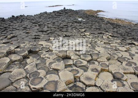 Blick auf Giant's Causeway, Nordirland Stockfoto