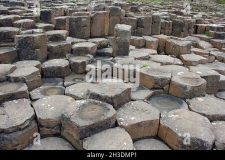 Blick auf Giant's Causeway, Nordirland Stockfoto