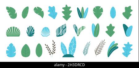 Große Baumgruppe. Pflanzen, Bäume, tropische Blätter Sammlung Vektor. Äste, Büsche, Tannenschilder. Dschungel Natur Elemente. Stock Vektor