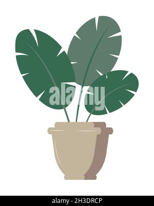 Einfacher Ficus im Topf, Abbildung einer Gummipflanze. Symbolvektor für die Heimanlage. Heim Garten Schild Illustration. Stock Vektor