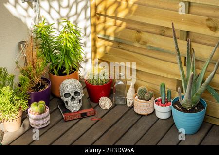 Ecke eines Gartens auf einer städtischen Terrasse eines Dachgeschosses mit Holzböden mit einem dekorativen Schädel und Kaktus, Aloe und Lilien Stockfoto