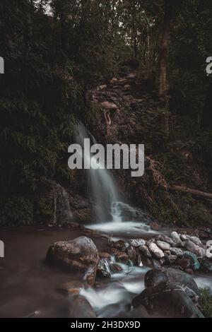 Langzeitaufnahme eines Stromes, der durch einen Wald läuft Stockfoto