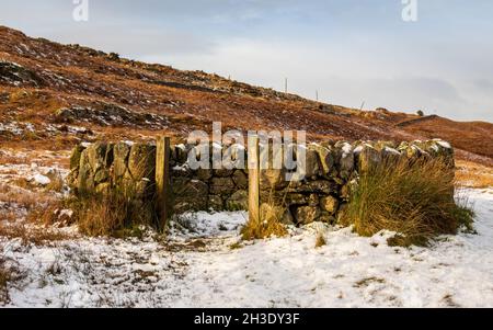 Ein alter schneebedeckter schottischer Trockensteindeich Schafstall im Winter, Cairnsmore von Fleet, Schottland Stockfoto