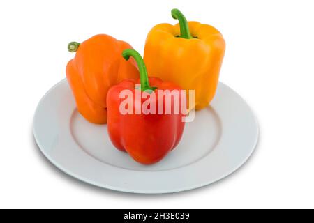 Chili, Paprika (Capsicum annuum), roter, oranger und gelber Pfeffer Stockfoto