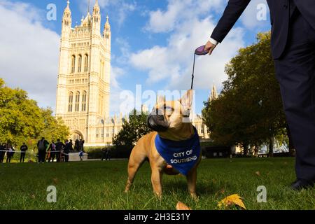 NUR FÜR REDAKTIONELLE VERWENDUNG Sir David Amess' französische Bulldogge Vivienne wird als Gewinner des Westminster Dog of the Year Wettbewerbs bekannt gegeben, der gemeinsam von Dogs Trust und dem Kennel Club, London, organisiert wird. Bilddatum: Donnerstag, 28. Oktober 2021. Stockfoto