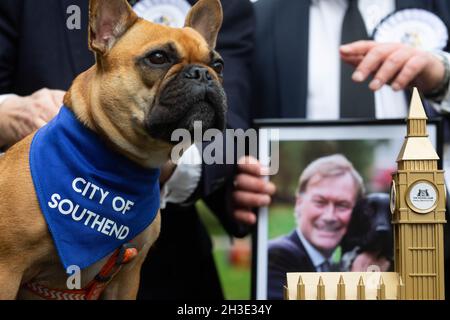 NUR FÜR REDAKTIONELLE VERWENDUNG Vivienne, die französische Bulldogge von Sir David Amess, wird als Gewinner des Westminster Dog of the Year Wettbewerbs bekannt gegeben, der gemeinsam von Dogs Trust und dem Kennel Club, London, organisiert wird. Bilddatum: Donnerstag, 28. Oktober 2021. Stockfoto