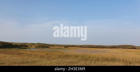 Sint Maartenszee Niederlande Oktober 2021 romantische Dünenlandschaft am Abend bei schönem Herbstwetter mit blauem Himmel Stockfoto