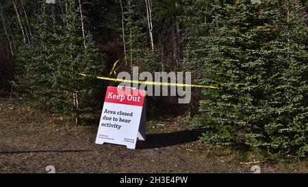 Warnschild (Keep Out) am Kananaskis Trail (Highway 40) in den Rocky Mountains. Bereich wegen Bärenaktivität geschlossen. Konzentrieren Sie sich auf das Schild. Stockfoto