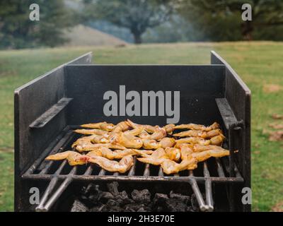 Stapel roher Hähnchenflügel, die am Sommertag auf einem Grillrost auf Gras gegen grüne Bäume auf dem Land geröstet werden Stockfoto