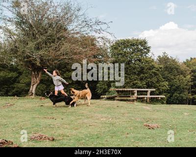Sorgloses Mädchen läuft mit verspielten haarigen Hunden auf Rasen mit hohem grünen Baum und Holztisch in ländlicher Umgebung Stockfoto
