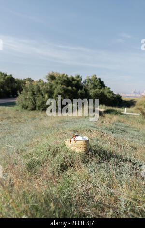 Korbkorb auf Grasboden unter blauem Himmel mit grünen Büschen auf dem Hintergrund am sonnigen Sommertag platziert Stockfoto