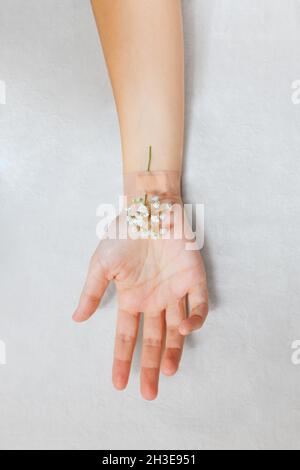 Draufsicht auf das anonyme Weibchen mit blühendem Zweig unter dem Pflaster, das das Konzept der natürlichen Hautpflege auf grauem Hintergrund darstellt Stockfoto