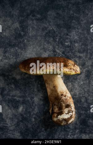 Draufsicht auf frischen rohen Boletus edulis mit dicken Stielen und Kappe auf marmorgrauem Hintergrund in hellem Raum platziert Stockfoto