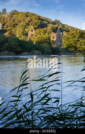 Tintern Abbey im Wye Valley bei Chepstow. Stockfoto