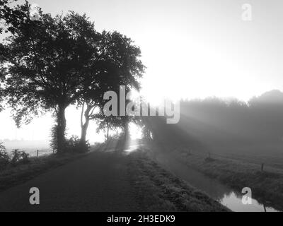 Schwarz-weißes Foto der Sonnenstrahlen, die durch die Silhouette zweier Bäume scheinen, mit einer Straße vorne, mit einem Graben rechts Stockfoto