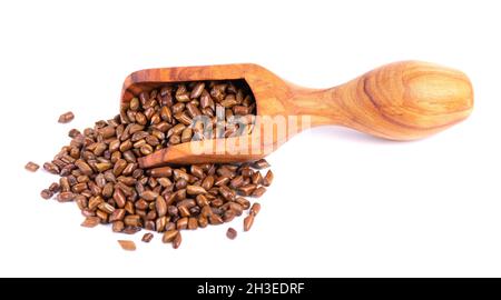 Cassia tora Bohnen in Holzlöffel, isoliert auf weißem Hintergrund. Sicklepod oder Senna obtusifolia. Beschneidungspfad. Stockfoto