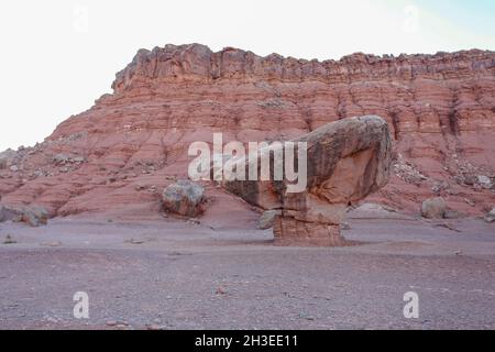 Eine Wanderung durch das farbenfrohe Mesozoikum Stockfoto