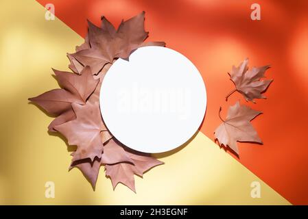 Herbstkomposition. Rundes weißes Papierblatt auf gelbem und orangefarbenem Hintergrund mit weichen Schatten, die mit getrockneten Blättern verziert sind Stockfoto