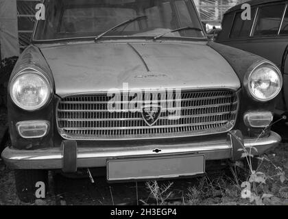 51143 KÖLN, DEUTSCHLAND - 25. Jul 2021: Eine Graustufenaufnahme eines Oldtimer Peugeot 404 in Köln Stockfoto