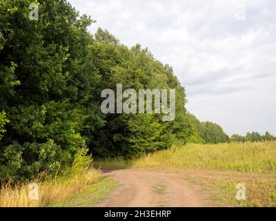 Feldweg durch das Feld, im Sommer Stockfoto