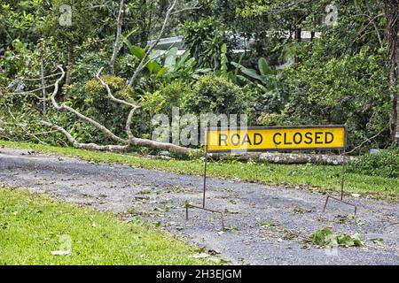 Straße geschlossen Schild in der Nähe von Kuranda Stockfoto