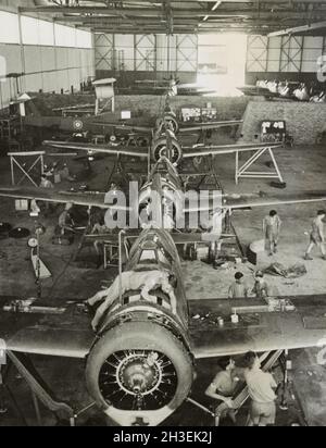 Vintage-Foto um 1942 von Brewster Buffalo B-339E Kampfflugzeug der RAF, das vor der japanischen Invasion von Malaya und dem Fall von Singapur in einem Hangar gehalten wurde. Stockfoto