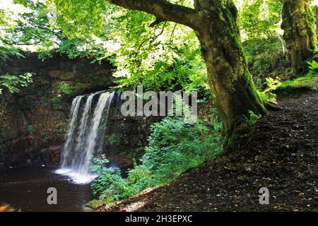 Dalcairney Falls - Dalmellington - Schottland Stockfoto