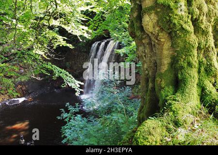 Dalcairney Falls - Dalmellington - Schottland Stockfoto